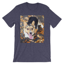 Corgi t-shirt