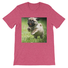 Pug t-shirt