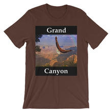 Grand Canyon t-shirt