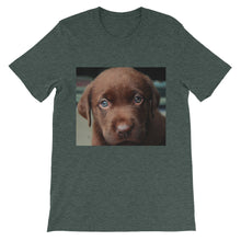 Puppy t-shirt