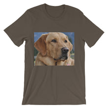 Dog t-shirt