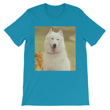 Dog t-shirt