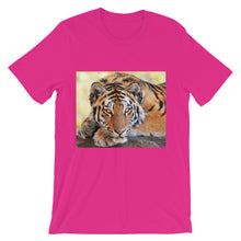 Tiger t-shirt