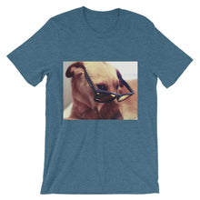 Dog with glasses t-shirt