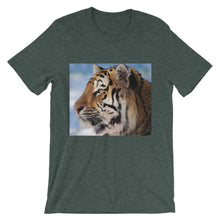 Tiger t-shirt