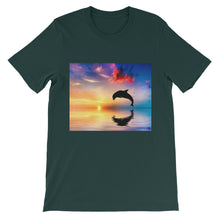 Dolphin t-shirt