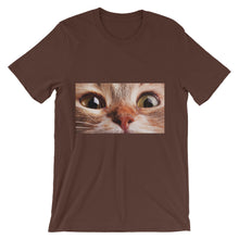 Cat t-shirt