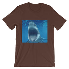 Shark t-shirt