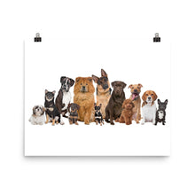 Dog Family Reunion poster