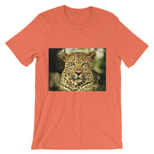 Leopard t-shirt
