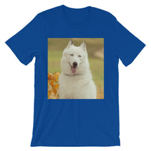 Dog t-shirt