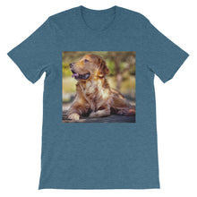 Dog t-shirt
