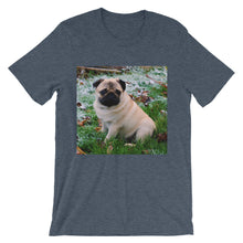Pug t-shirt