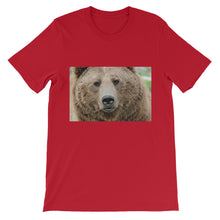 Bear t-shirt