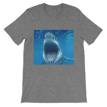 Shark t-shirt