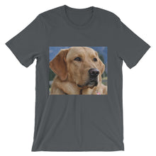 Dog t-shirt