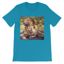 Dog t-shirt