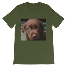 Puppy t-shirt