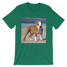 Dog t-shirt