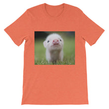 Piglet t-shirt