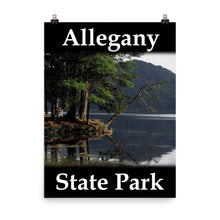 Allegany State Park poster