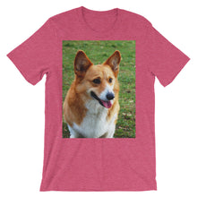 Corgi t-shirt