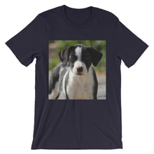 Dog t-shirt