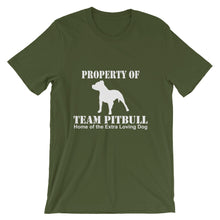 Property of Team Pitbull t-shirt