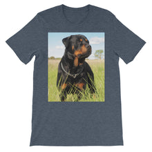 Rottweiler t-shirt