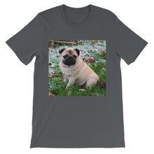 Pug t-shirt