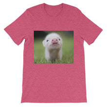 Piglet t-shirt