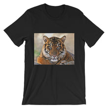 Tiger t-shirt