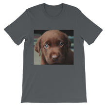 Puppy t-shirt