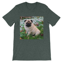 Pug t-shirt