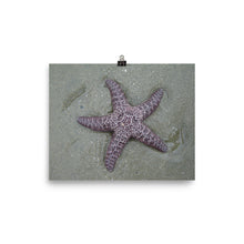Starfish poster