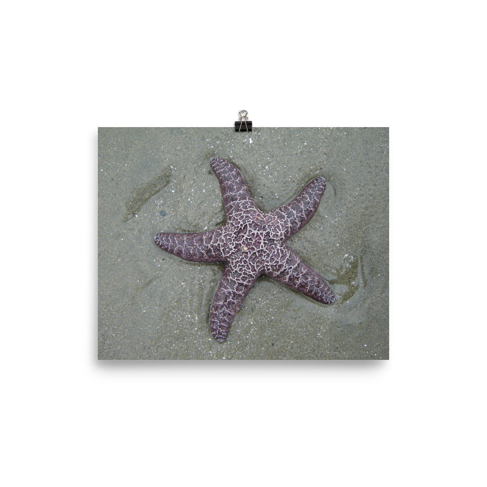Starfish poster