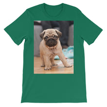 Pug t-shirt