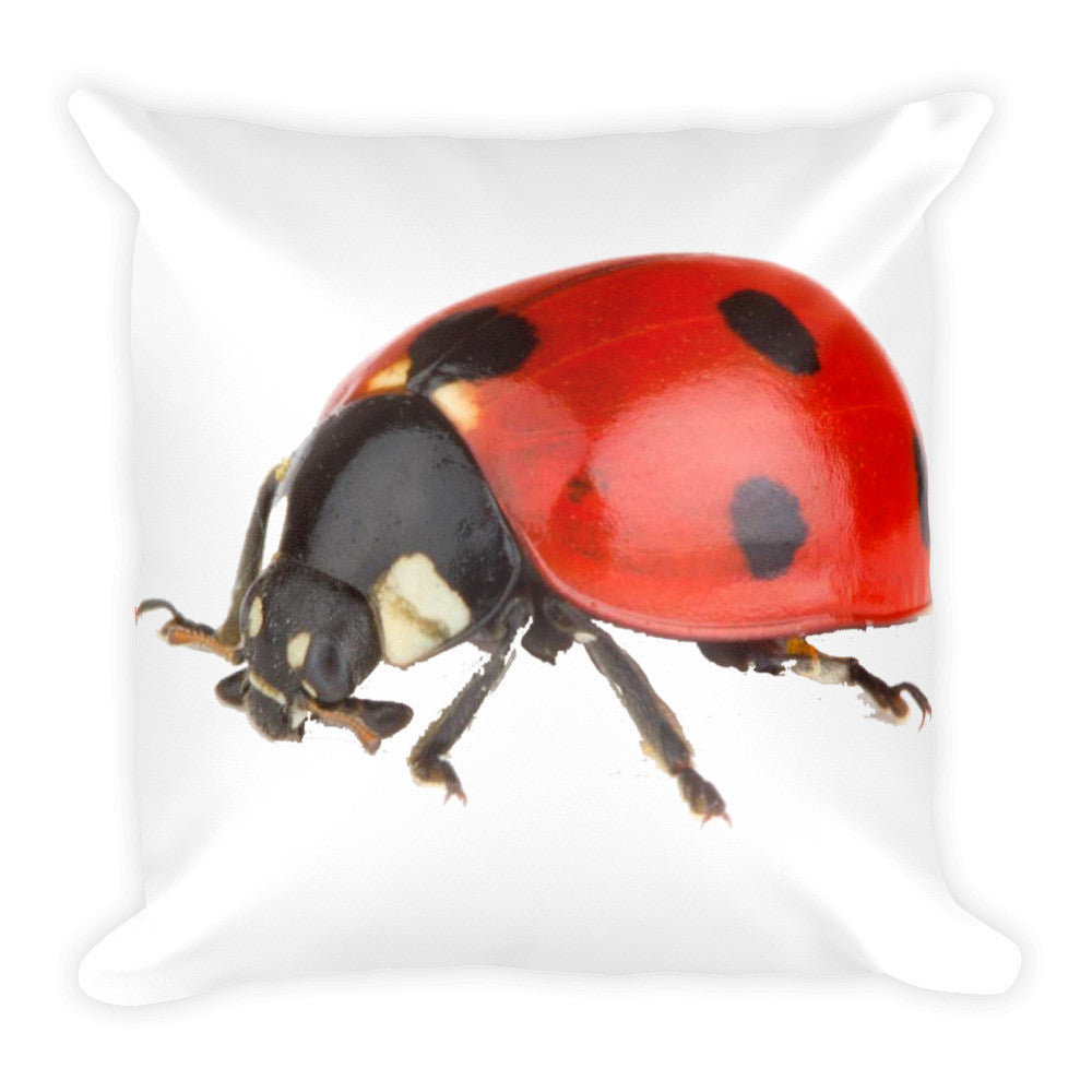 Ladybug Pillow