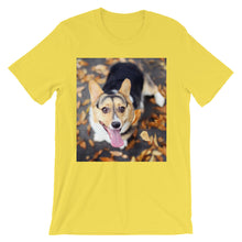 Corgi t-shirt