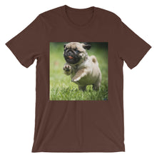 Pug t-shirt