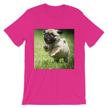 Pug t-shirt