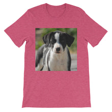 Dog t-shirt