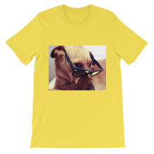 Dog with glasses t-shirt