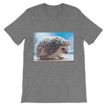 Hedgehog t-shirt