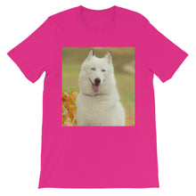 Dog t-shirt
