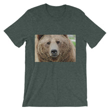 Bear t-shirt