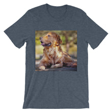 Dog t-shirt