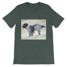 Dog t-shirt