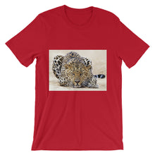 Leopard t-shirt