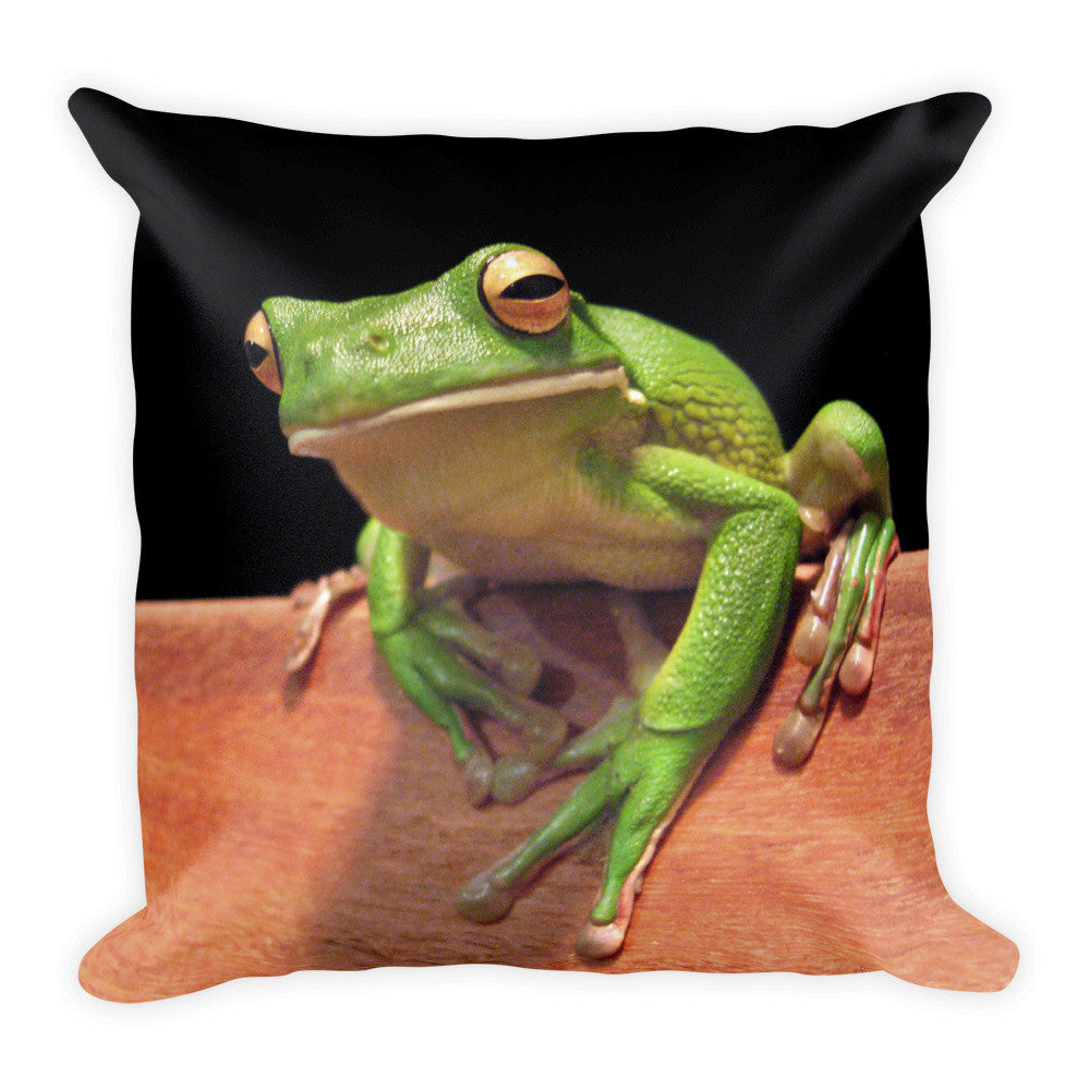 Frog Pillow